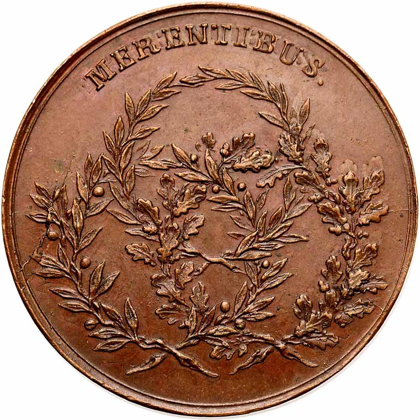 Stanisław August Poniatowski. Medal MERENTIBUS 1766, Warszawa, brąz